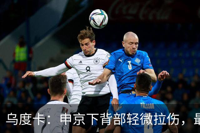 乌度卡：申京下背部轻微拉伤，最多缺席几场
