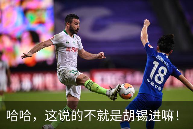 哈哈，这说的不就是胡锡进嘛！