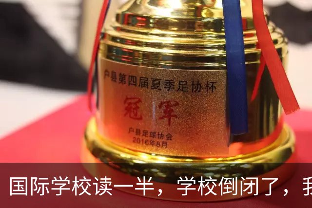 国际学校读一半，学校倒闭了，我该咋办？