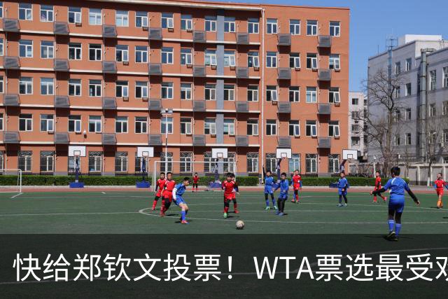 快给郑钦文投票！WTA票选最受欢迎1000赛夺冠表现，郑钦文暂列第2