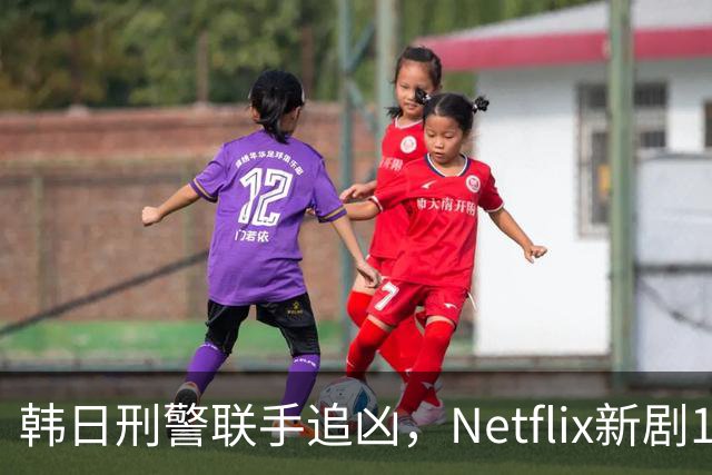 韩日刑警联手追凶，Netflix新剧11月20日上线