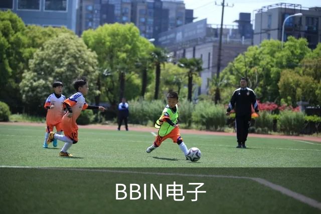 关于BBIN电子